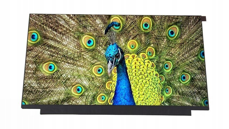 LCD B156HAN02.3 B156HAN02.4