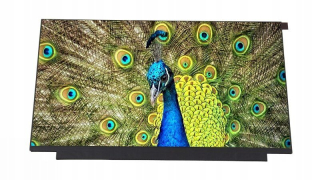 LCD B156HAN02.1 (HW4A HW7A)